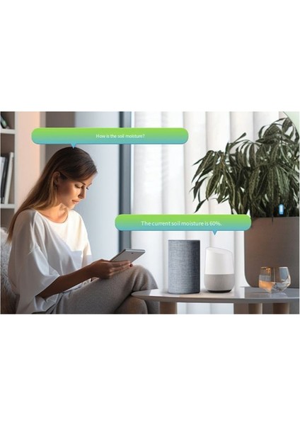 Uygulama Uzaktan Kumanda Sıcaklığı Nem Sensörü Dedektörü Doodle Bluetooth Akıllı Ev Toprak Sıcaklığı ve Nem Ölçer (Yurt Dışından) fiyatları