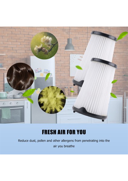 Electrolux Aeg AEF150 Için 2 Pc Filtresi, Tüm Aeg Ergorapido Cx7-2 Modelleri CX7-2-45AN CX7-2-35FFP CX7-2-30GM (Yurt Dışından) fiyatları