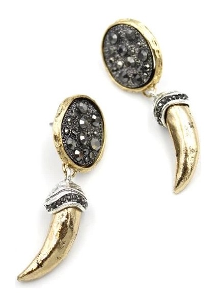 Parlak Taşlı Boynuz Küpe - Altın fiyatları