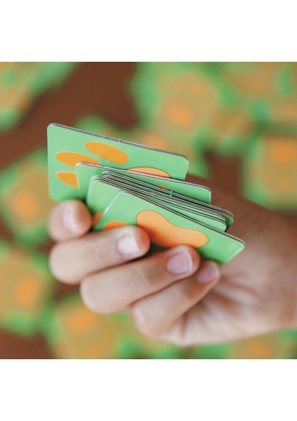 Köpek Cinsleri Hafıza Geliştirme Oyunu 48 Kart – 24 Farklı Köpek Irkı +3 Yaş Eğitici Oyun modelleri