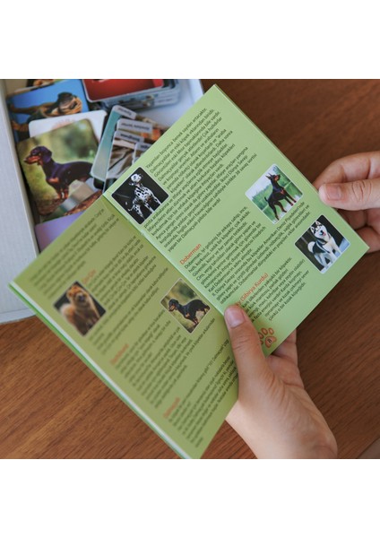 Köpek Cinsleri Hafıza Geliştirme Oyunu 48 Kart – 24 Farklı Köpek Irkı +3 Yaş Eğitici Oyun indirimleri