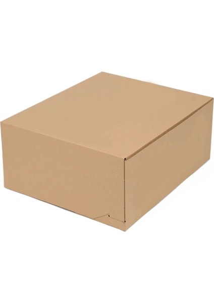 3 Baton Kraft Renk Turta Kutusu 30X35X12.5 cm fiyatları