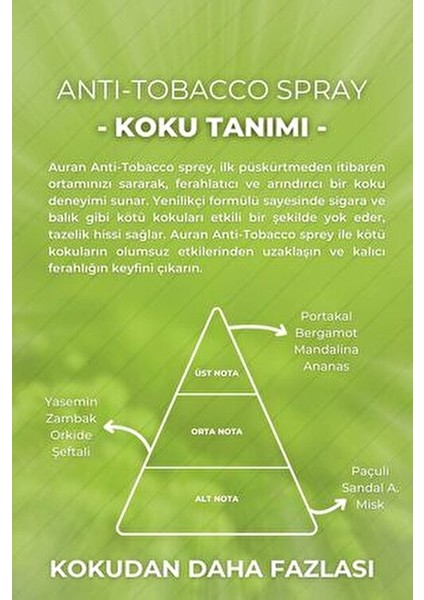 Hava Ferahlatıcı Anti-Tobacco Sprey 100 ml Kötü Kokuları Gideren Etkili Formül indirimleri