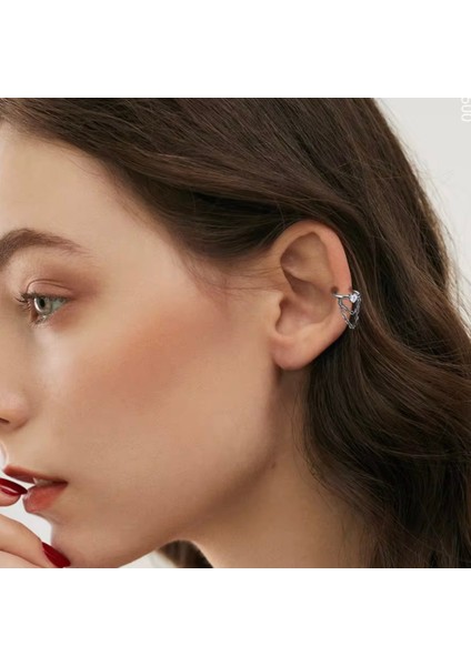 Cerrahi Çelik Helix Kilitli Halka Piercing-Iç Halka Çapı : 8mm x Kalınlık : 1,2mm-1 Adet modelleri