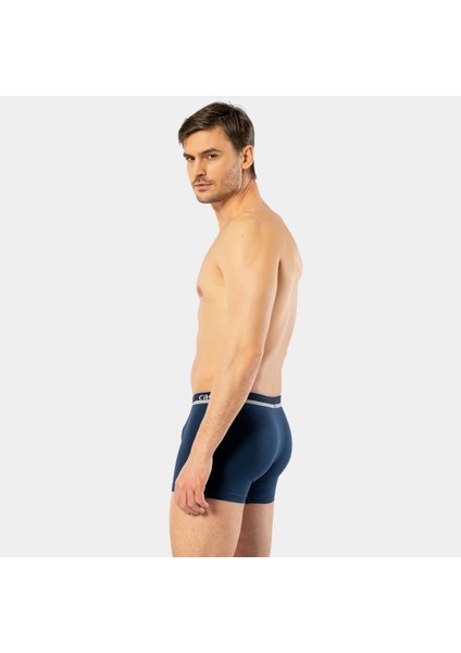 Erkek 3'lü Boxer modelleri