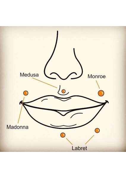 Cerrahi Çelik Bar Içinden Vidalı Labret Piercing-Dudak-Helix, Tragus, Bar Uzunluğu 8mm-1 Adet