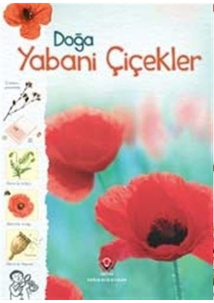 Doğa-Yabani Çiçekler