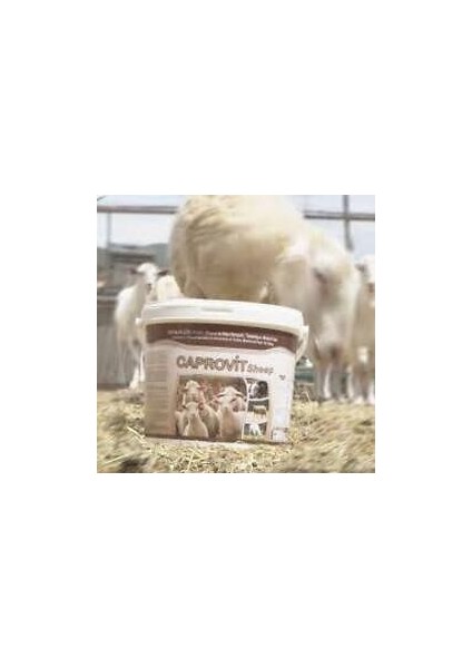 Royal Caprovit Sheep 25 kg fiyatları