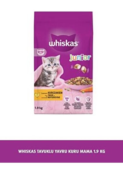 Yavru Kedi Maması Tavuk Aromalı 1,9 kg Premium Kalite Türkiye Menşeli