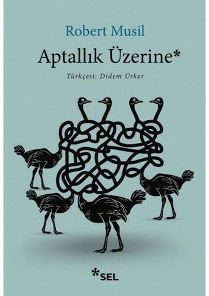 Aptallık Üzerine