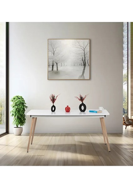 Bistro 160X80 cm / Dikdörtgen Mutfak Masası / Mutfak Yemek Masası / Dikdörtgen Masa / Beyaz