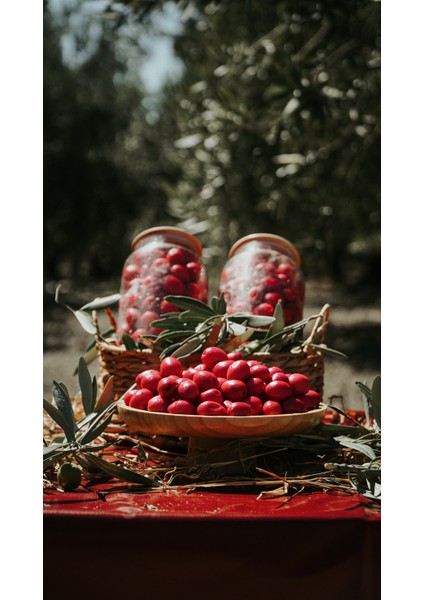 Pancarlı Zeytin Doğal Gurme, Pancarlı Ege Zeytini, Kırmızı Zeytin ,zeytin , Doğal Zeytin Doğal, Katkısız, Ege, Kahvaltılık, Salatalık, Sağlıklıı
