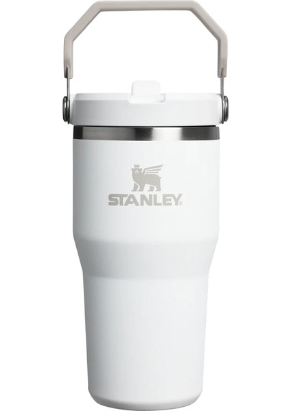 The Iceflow Flip Straw Pipetli Termos Bardak 0,60 LT-10-12044-043 fırsatları