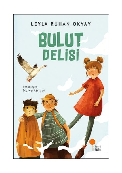 Bulut Delisi