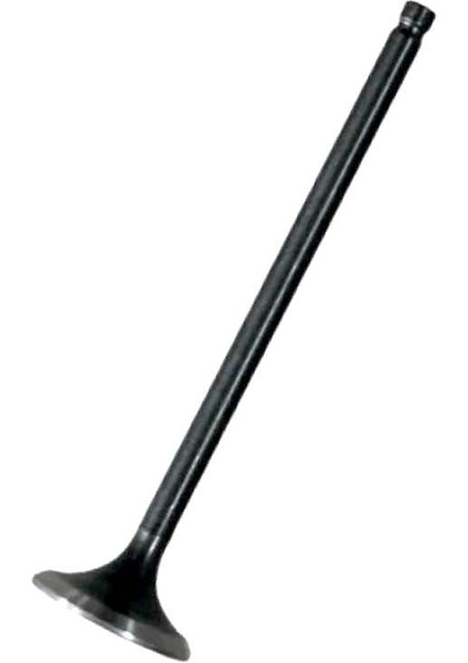 Raider 125 Egzoz Subap N8011710