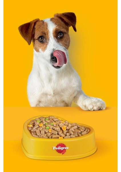 Tavuklu Konserve Yavru Köpek Maması 24 x 400 G modelleri