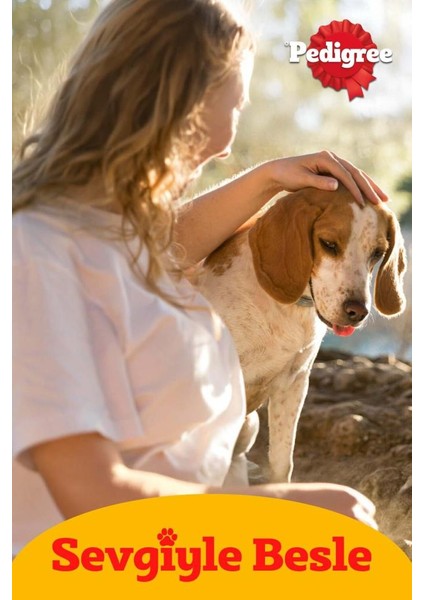 Tavuklu Konserve Yavru Köpek Maması 24 x 400 G fırsatları