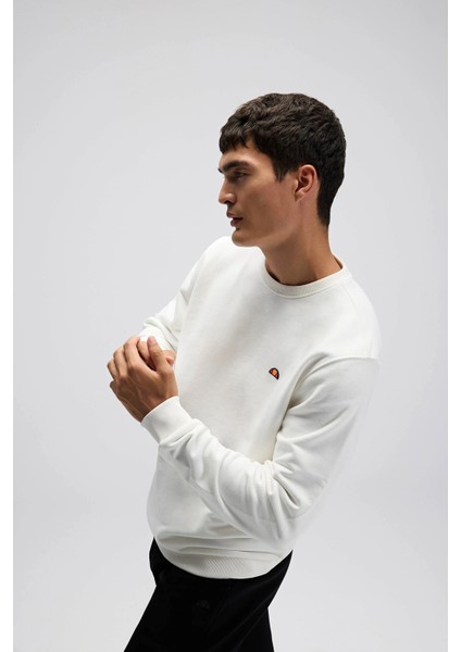 Pamuklu Regular Fit Bisiklet Yaka Logolu Sweat Erkek Sweat EM579 fiyatları