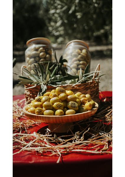 Yeşil Izgara Zeytin , Yeşil Zeytin, Izgara Zeytin– Doğal, Katkısız, Zeytinyağlı, Baharatlı ve Aromalı, Kahvaltılık ve Salatalık, Sağlıklı Lif ve Tekli Doymamış Yağ Kaynağı,