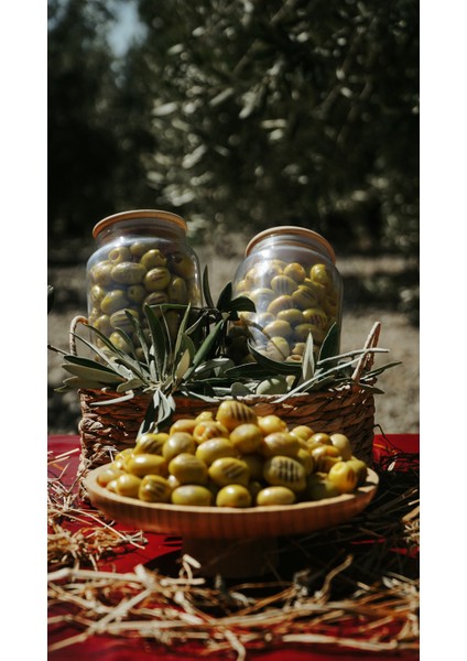 Yeşil Izgara Zeytin , Yeşil Zeytin, Izgara Zeytin– Doğal, Katkısız, Zeytinyağlı, Baharatlı ve Aromalı, Kahvaltılık ve Salatalık, Sağlıklı Lif ve Tekli Doymamış Yağ Kaynağı, fiyatları