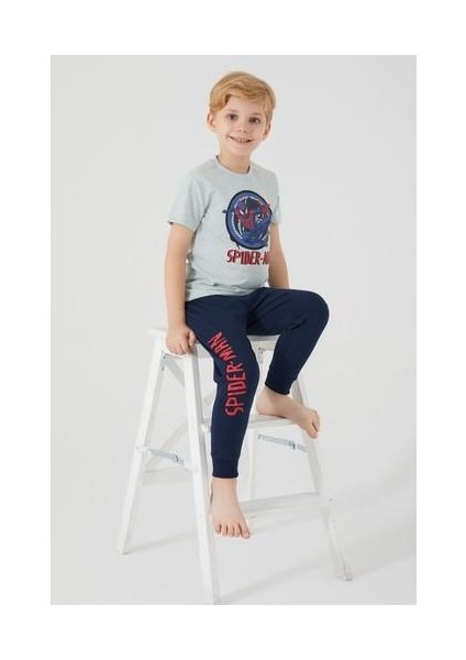 Ring Gri Erkek Çocuk Kısa Kol Pijama Takım fırsatları