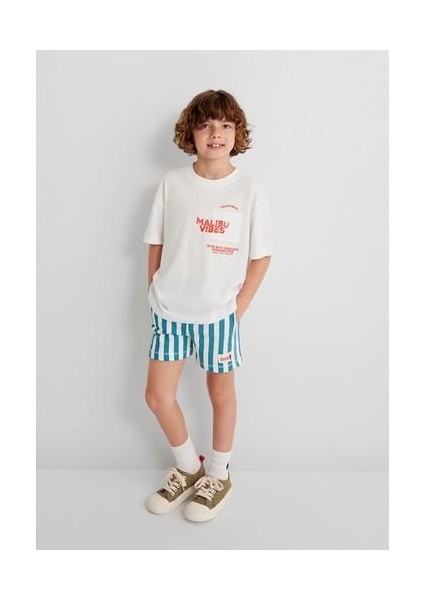 Çizgili Mavi Şort 6410012-89718