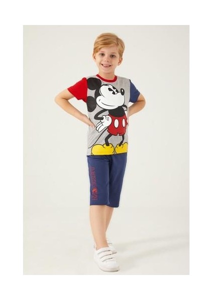 D4788-3 Erkek Çocuk Alt Üst Takım Gri Melanj