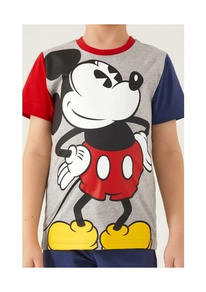 D4788-3 Erkek Çocuk Alt Üst Takım Gri Melanj