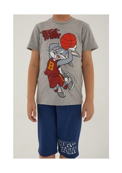 L1569-3 Erkek Çocuk Alt Üst Takım Gri Melanj