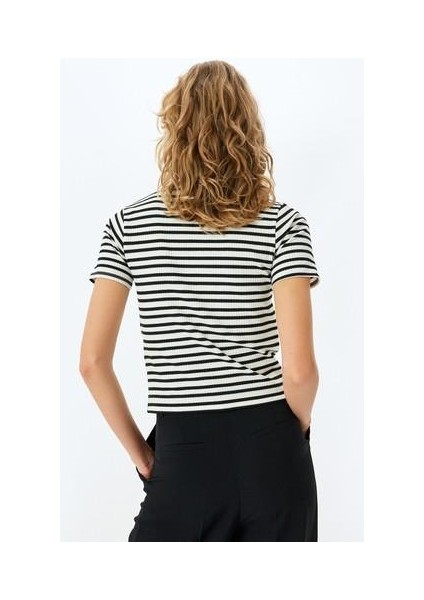 Viskon Karışımlı Kısa Kollu Bisiklet Yaka Çizgili Tişört