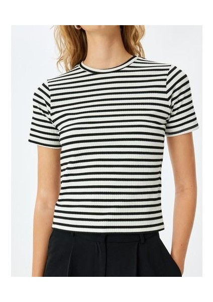 Viskon Karışımlı Kısa Kollu Bisiklet Yaka Çizgili Tişört