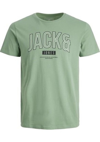 Thomas Tee Ss Crew Neck Fst Erkek Yeşil Tshirt 12219812-21 fiyatları