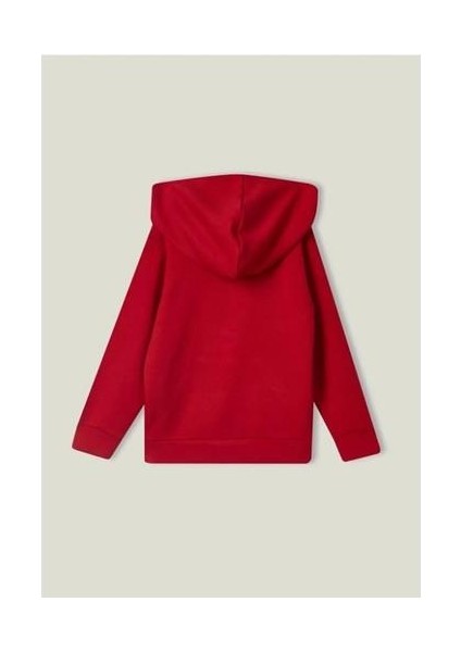 Erkek Sweatshirt BNT-M20093 BNT-M20093003 fırsatları