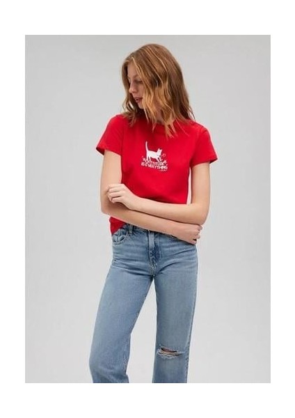 Kedi Baskılı Grafik Kadın Tşört