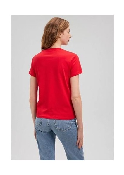 Kedi Baskılı Grafik Kadın Tşört