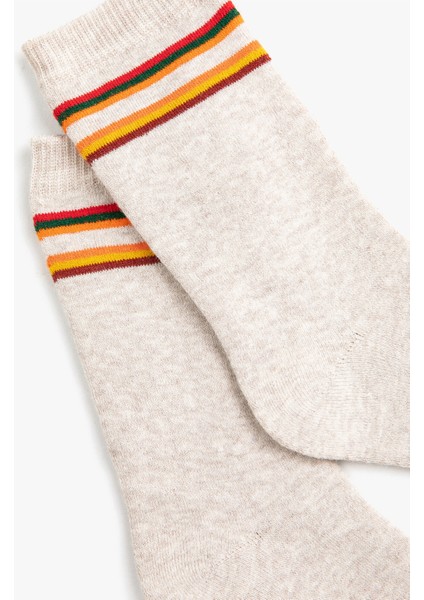 Çizgili Kadın Çorap fiyatları