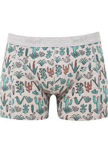 Kaktüs Baskılı Gri Boxer 091122-23854 modelleri