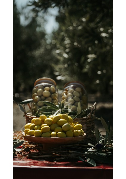 Yeşil Zeytin , Kokteyl Yeşil Zeytin ,yeşil Kokteyl Zeytin – Doğal, Katkısız, Zeytinyağlı ve Aromalı, Kahvaltılık ve Mezeler Için, Tekli Doymamış fiyatları