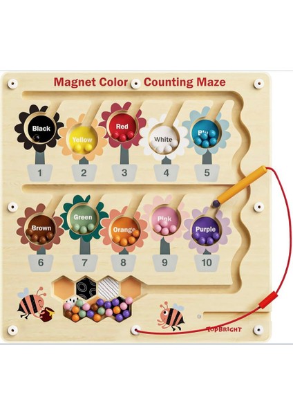 Montessori Ahşap Manyetik Arı Labirenti