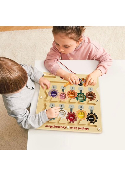 Montessori Ahşap Manyetik Arı Labirenti