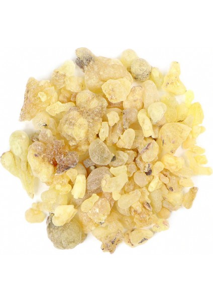 Sandaloz Sakızı 100 gr