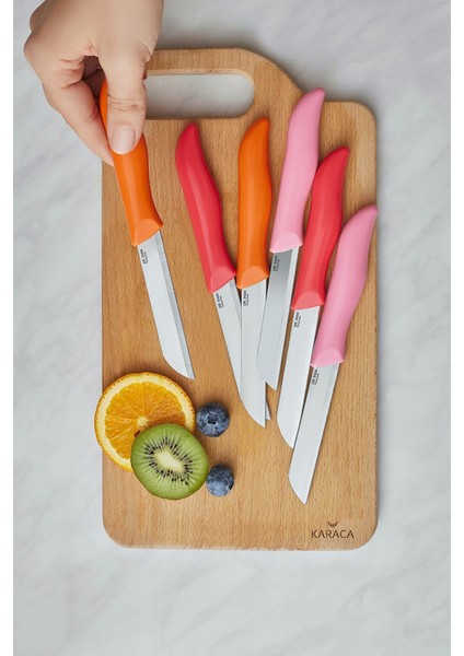 x Dr.Inox Sunberry 6'lı Sebze ve Meyve Bıçağı