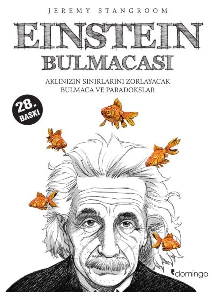 Einstein Bulmacası Aklınızın Sınırlarını Zorlayacak Bulmaca ve Paradokslar