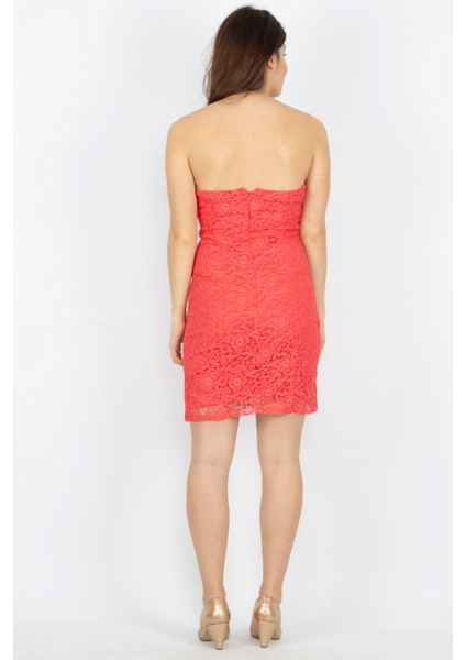 Kadın Nar Straptez Dantel Elbise 85N5199