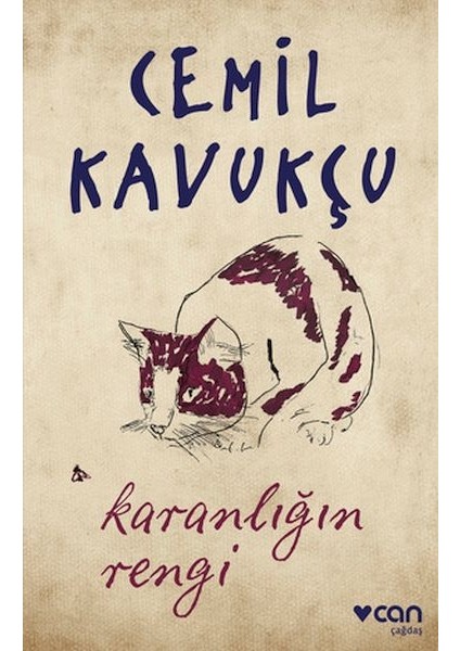 Karanlığın Rengi