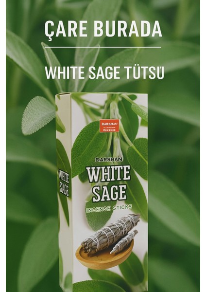 Darshan Incense - White Sage 20'li Çubuk Tütsü