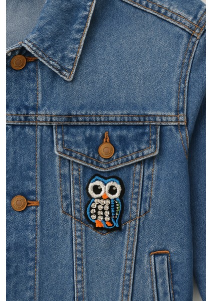 Ütülenebilen Veya Sticker Olarak Kullanılabilen Baykuş Figürlü Taşlı Nakış Patch indirimleri