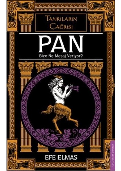 Pan Bize Ne Mesaj Veriyor?