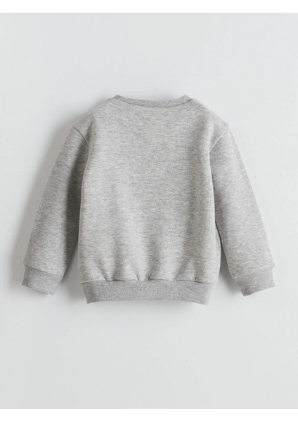 Lcw Kids Ekru Ayı Teddy Baskılı Kız Çocuk Kalın Sweatshirt 2'li modelleri