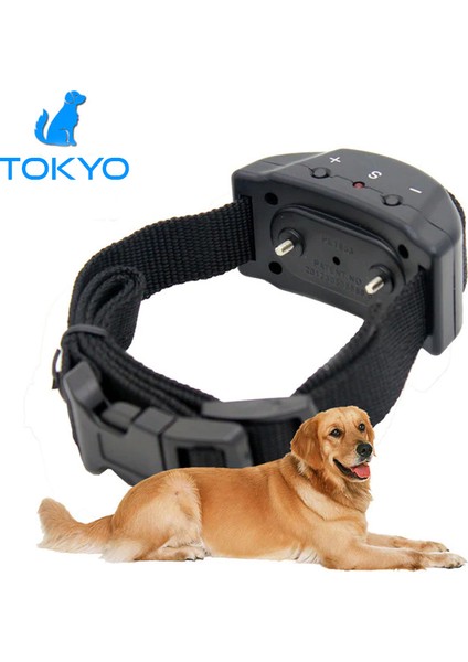 Havlama Engelleyici Köpek Eğitim Tasması Havlama Tasması
